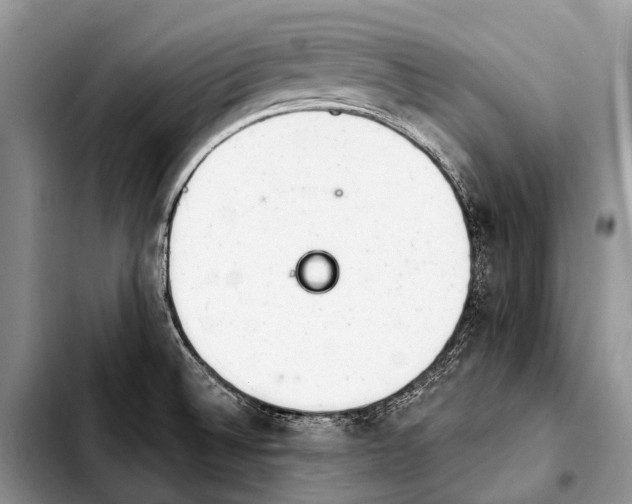 X0000103911524200810101256