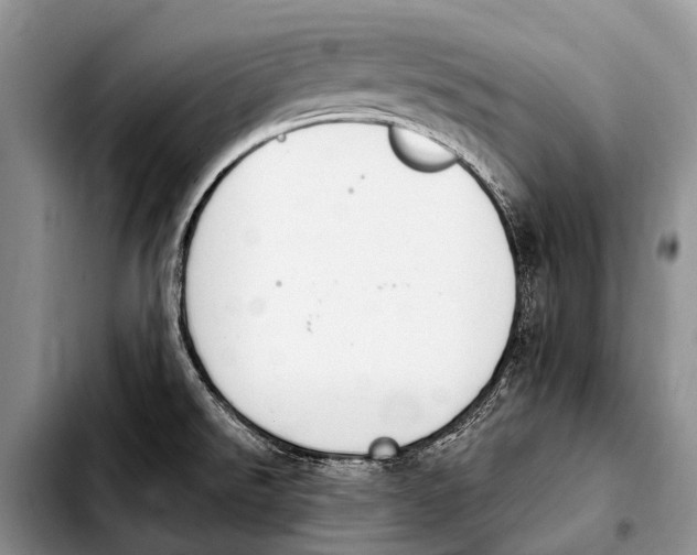 X0000103911526200810101256