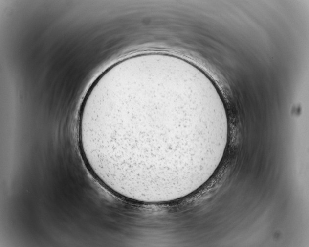 X0000103911527200810101256