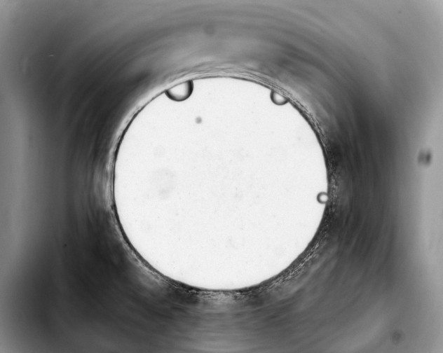 X0000103911528200810101256