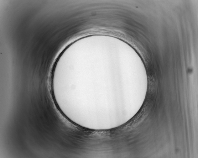 X0000103911531200810101256