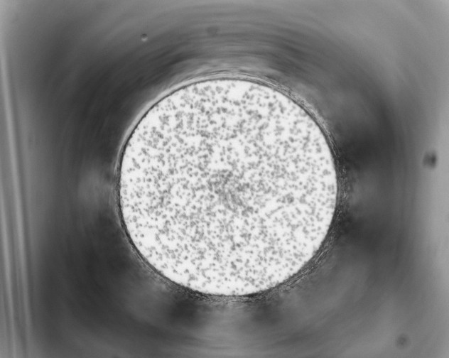 X0000103911532200810101256