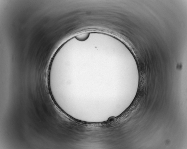X0000103911535200810101256
