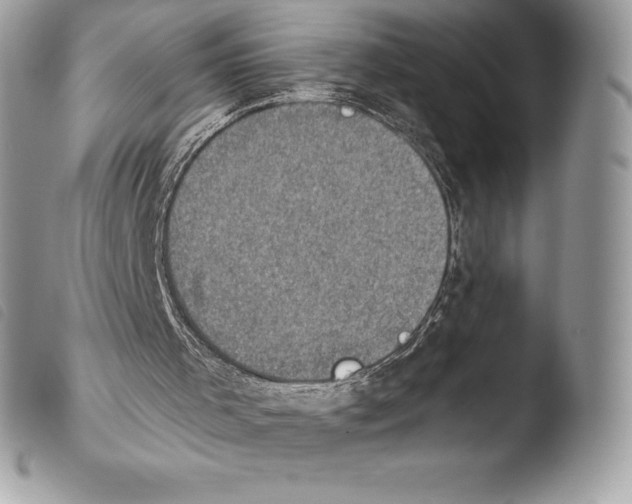 X0000103910001200810171716