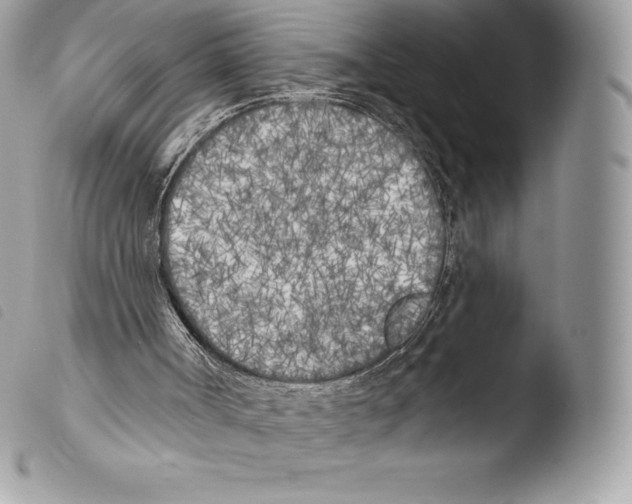 X0000103910002200810171716