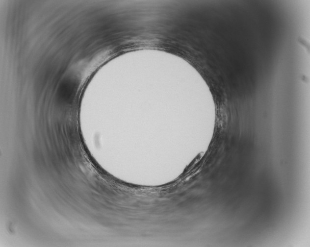 X0000103910004200810171716
