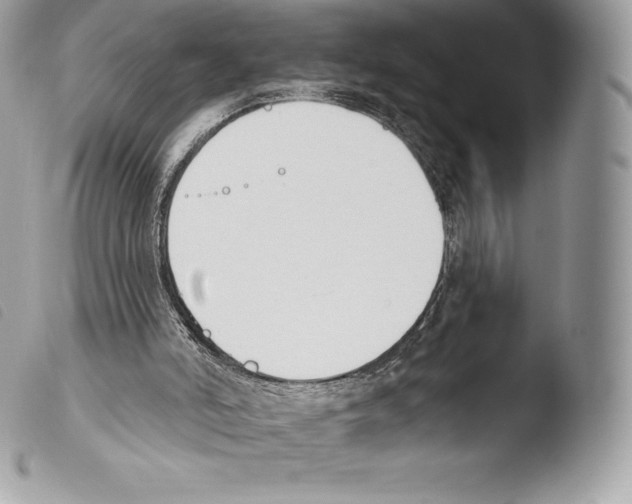 X0000103910006200810171716