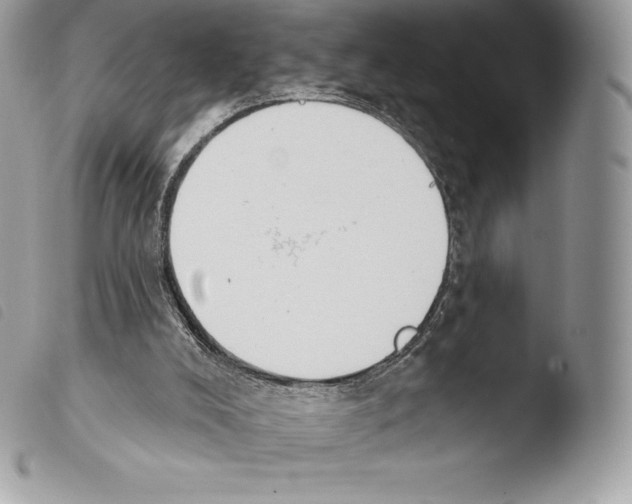 X0000103910008200810171716