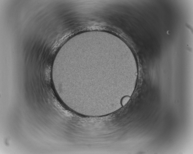 X0000103910009200810171716