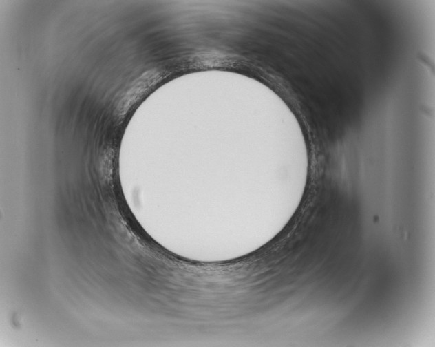 X0000103910010200810171716