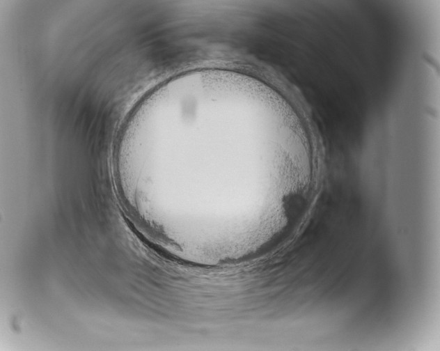X0000103910011200810171716