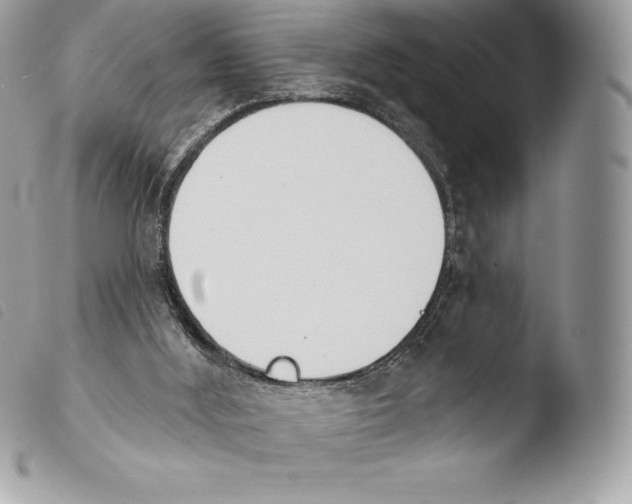 X0000103910012200810171716