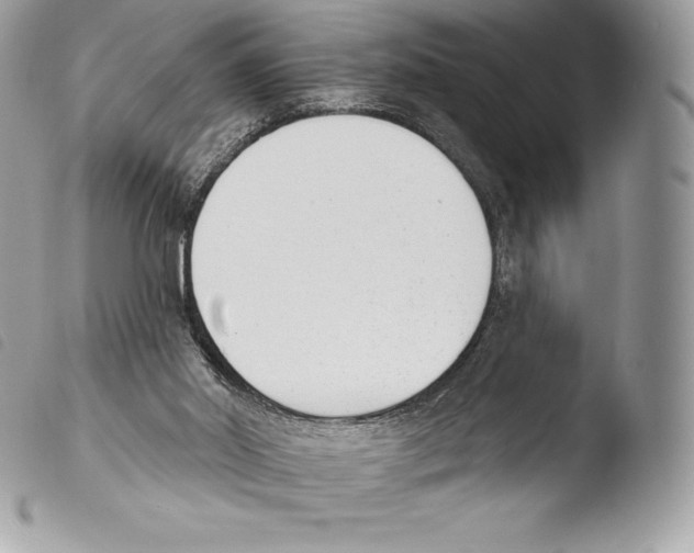 X0000103910014200810171716