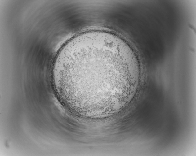 X0000103910015200810171716