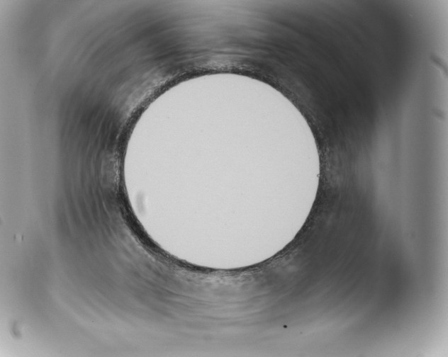 X0000103910016200810171716