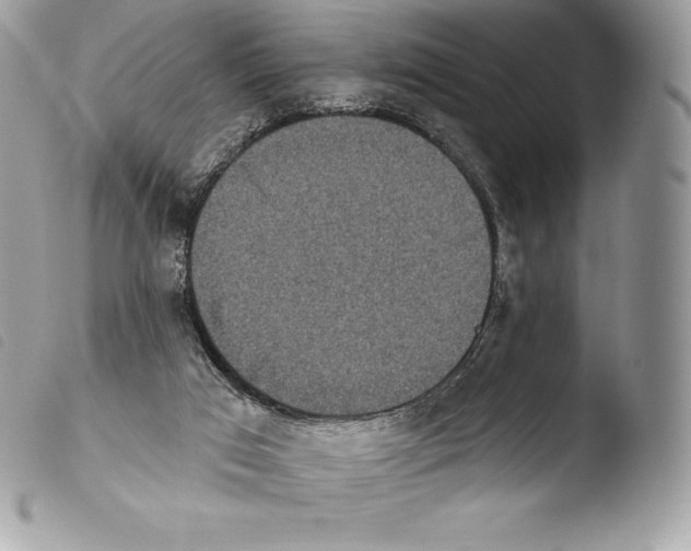 X0000103910017200810171716