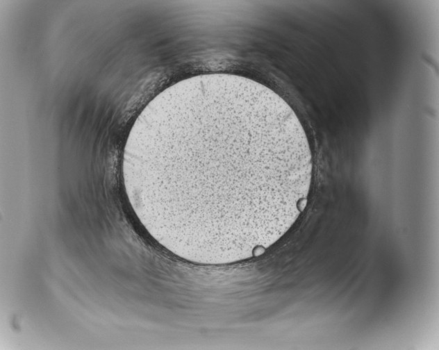 X0000103910018200810171716