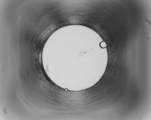 X0000103910019200810171716