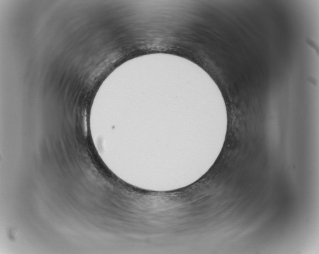X0000103910020200810171716
