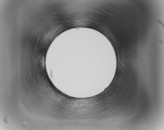 X0000103910021200810171716