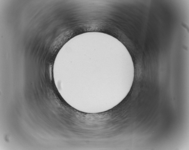X0000103910022200810171716
