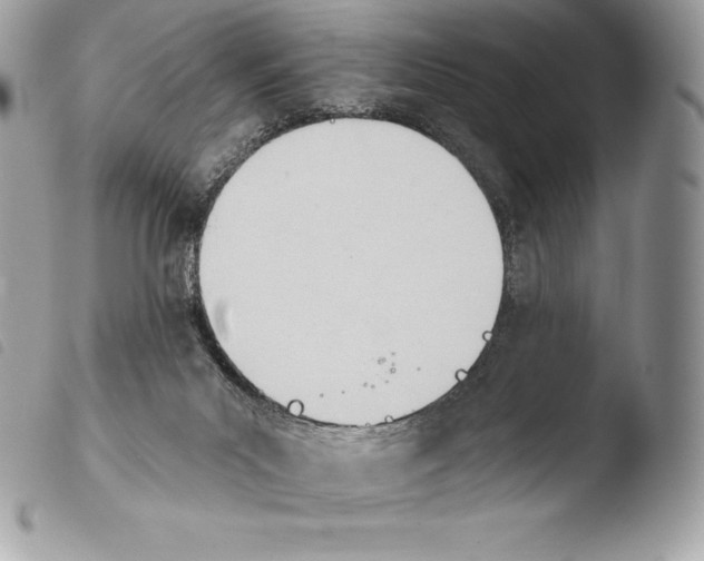 X0000103910023200810171716