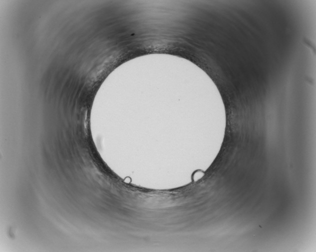 X0000103910024200810171716