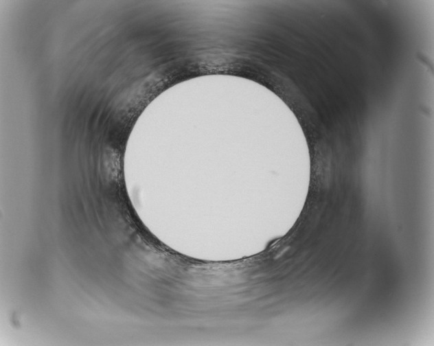 X0000103910025200810171716