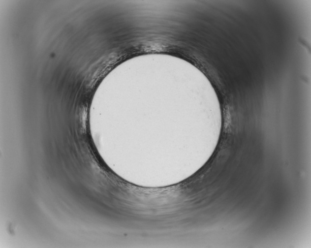 X0000103910026200810171716