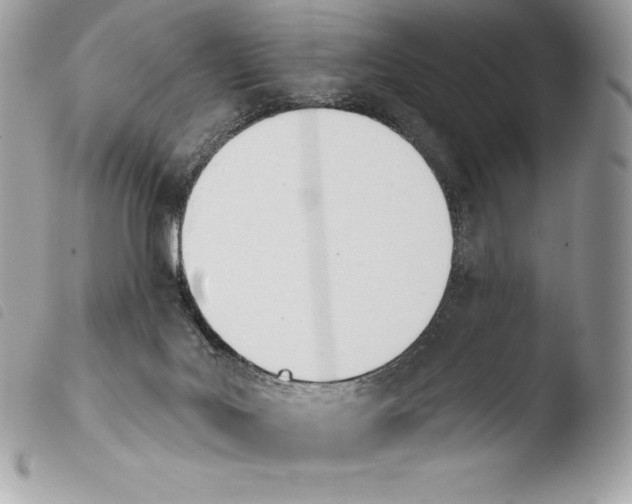 X0000103910027200810171716