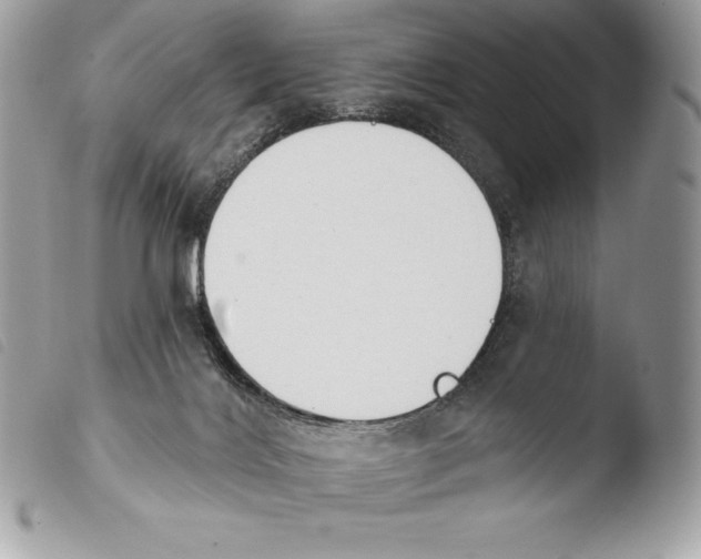 X0000103910028200810171716