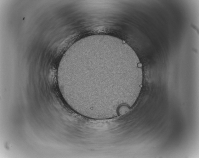 X0000103910029200810171716