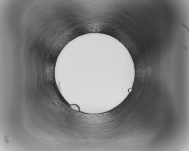 X0000103910030200810171715