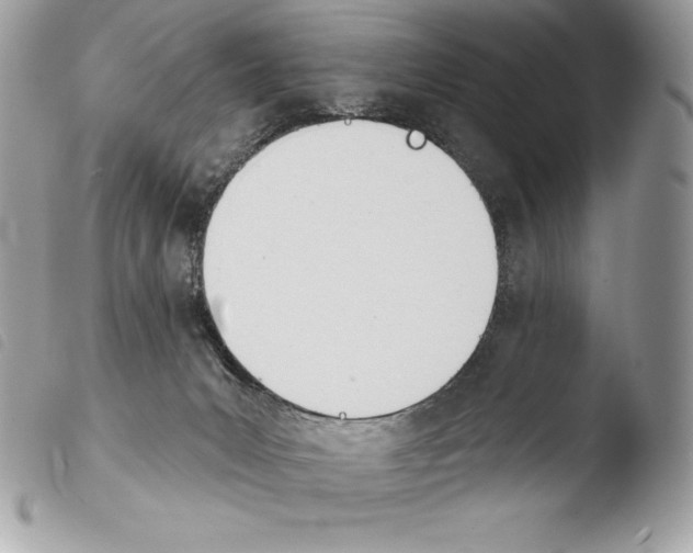 X0000103910031200810171715