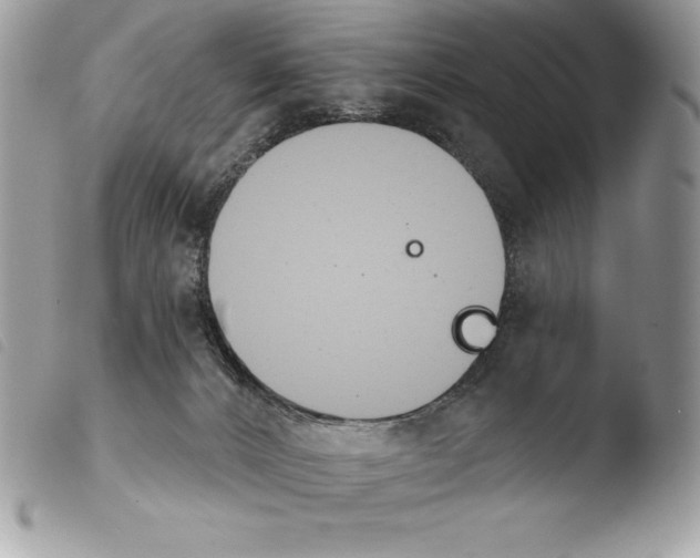 X0000103910032200810171715