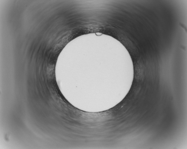X0000103910034200810171715
