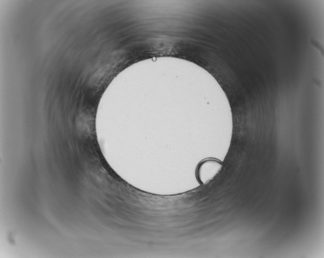X0000103910035200810171715