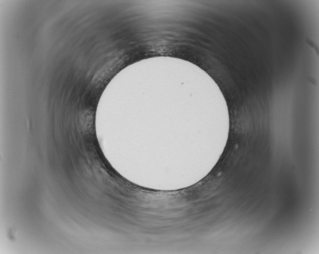 X0000103910036200810171715