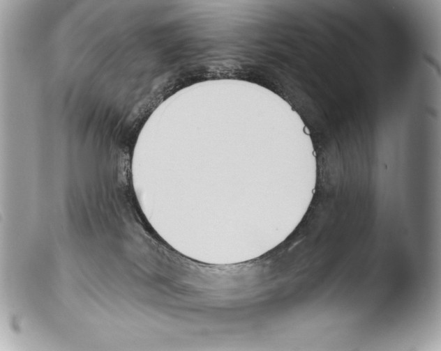 X0000103910038200810171715
