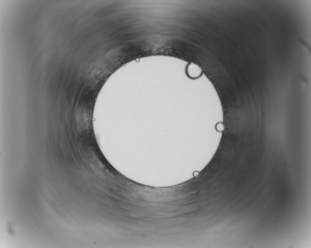 X0000103910039200810171715