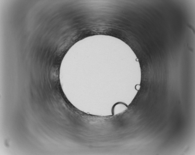 X0000103910040200810171715