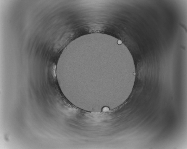 X0000103910041200810171715