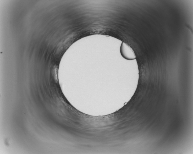 X0000103910042200810171715