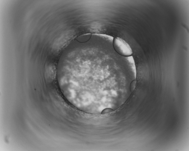 X0000103910043200810171715