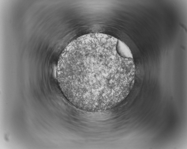 X0000103910046200810171715