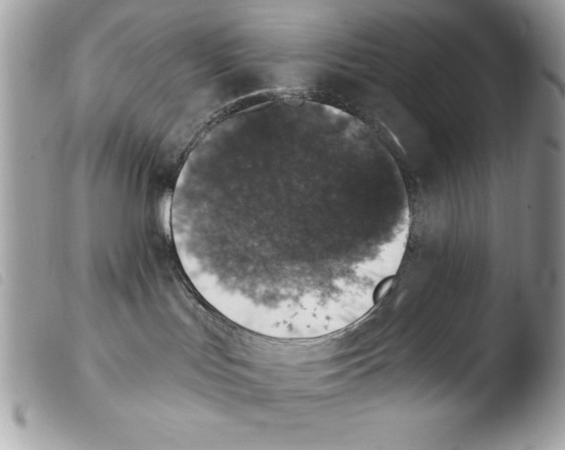 X0000103910047200810171715