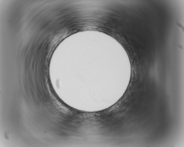 X0000103910049200810171714