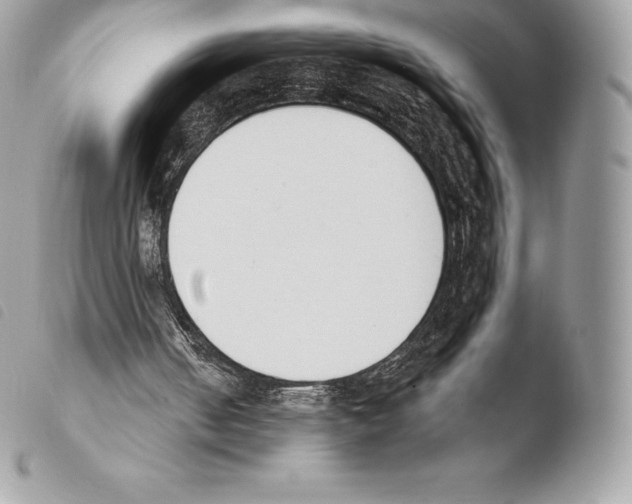 X0000103910050200810171714