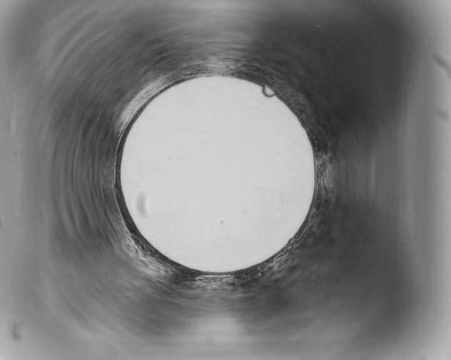 X0000103910051200810171714