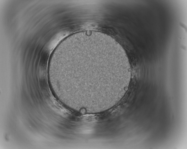 X0000103910052200810171714